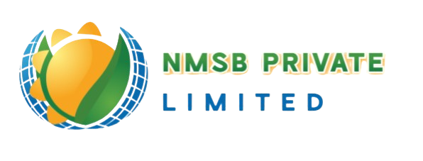 NMSB Logo 1